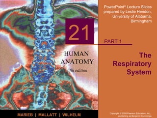 The Respiratory System PART 1 