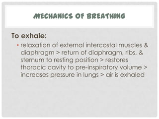 MECHANICS OF BREATHING

To exhale:
 • relaxation of external intercostal muscles &
   diaphragm > return of diaphragm, ribs, &
   sternum to resting position > restores
   thoracic cavity to pre-inspiratory volume >
   increases pressure in lungs > air is exhaled
 