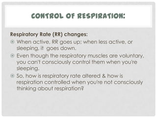 CONTROL OF RESPIRATION:

Respiratory Rate (RR) changes:
 When active, RR goes up; when less active, or
  sleeping, it goes down.
 Even though the respiratory muscles are voluntary,
  you can't consciously control them when you're
  sleeping.
 So, how is respiratory rate altered & how is
  respiration controlled when you're not consciously
  thinking about respiration?
 