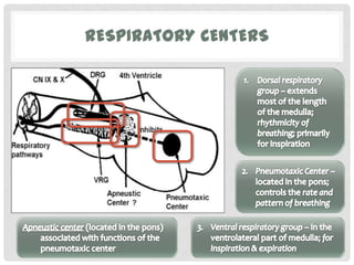 RESPIRATORY CENTERS
 