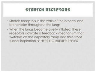 STRETCH RECEPTORS

• Stretch receptors in the walls of the bronchi and
  bronchioles throughout the lungs
• When the lungs become overly inflated, these
  receptors activate a feedback mechanism that
  switches off the inspiratory ramp and thus stops
  further inspiration  HERRING-BREUER REFLEX
 