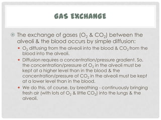GAS EXCHANGE

 The exchange of gases (O2 & CO2) between the
  alveoli & the blood occurs by simple diffusion:
   O2 diffusing from the alveoli into the blood & CO2 from the
    blood into the alveoli.
   Diffusion requires a concentration/pressure gradient. So,
    the concentration/pressure of O2 in the alveoli must be
    kept at a higher level than in the blood & the
    concentration/pressure of CO2 in the alveoli must be kept
    at a lower level than in the blood.
   We do this, of course, by breathing - continuously bringing
    fresh air (with lots of O2 & little CO2) into the lungs & the
    alveoli.
 