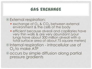 GAS EXCHANGE

 External respiration:
   exchange of O2 & CO2 between external
    environment & the cells of the body
   efficient because alveoli and capillaries have
    very thin walls & are very abundant (your
    lungs have about 300 million alveoli with a
    total surface area of about 75 square meters)
 Internal respiration - intracellular use of
  O2 to make ATP
 occurs by simple diffusion along partial
  pressure gradients
 