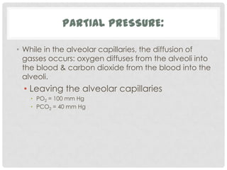 PARTIAL PRESSURE:

• While in the alveolar capillaries, the diffusion of
  gasses occurs: oxygen diffuses from the alveoli into
  the blood & carbon dioxide from the blood into the
  alveoli.
  • Leaving the alveolar capillaries
   • PO2 = 100 mm Hg
   • PCO2 = 40 mm Hg
 