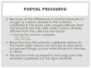 PARTIAL PRESSURES:

 Because of the differences in partial pressures of
  oxygen & carbon dioxide in the systemic
  capillaries & the body cells, oxygen diffuses from
  the blood & into the cells, while carbon dioxide
  diffuses from the cells into the blood.
   Leaving the systemic capillaries
    ○ PO2 = 40 mm Hg
    ○ PCO2 = 45 mm Hg
 Blood leaving the systemic capillaries returns to
  the heart (right atrium) via venules & veins (and
  no gas exchange occurs while blood is in venules
  & veins).
 This blood is then pumped to the lungs (and the
  alveolar capillaries) by the right ventricle.
 