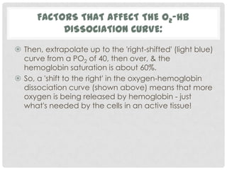 FACTORS THAT AFFECT THE O2-HB
           DISSOCIATION CURVE:
 Then, extrapolate up to the 'right-shifted' (light blue)
  curve from a PO2 of 40, then over, & the
  hemoglobin saturation is about 60%.
 So, a 'shift to the right' in the oxygen-hemoglobin
  dissociation curve (shown above) means that more
  oxygen is being released by hemoglobin - just
  what's needed by the cells in an active tissue!
 