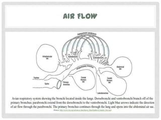 AIR FLOW
 