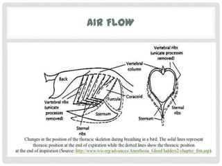 AIR FLOW
 