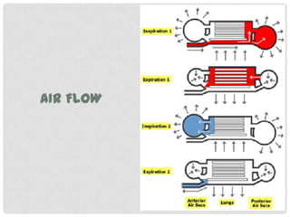 AIR FLOW
 