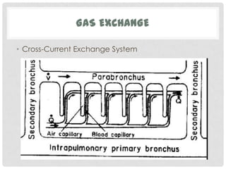 GAS EXCHANGE

• Cross-Current Exchange System
 