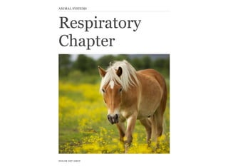 ANIMAL SYSTEMS 
Respiratory 
Chapter 
DOLOR SET AMET 
 