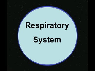 WelcomeRespiratory
System
 