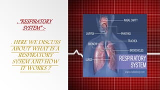 . “RESPIRATORY
SYSTEM” :-
. HERE WE DISCUSS
ABOUT WHAT IS A
RESPIRATORY
SYSEM AND HOW
IT WORKS ?
 