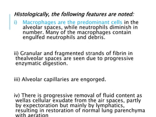 Histologically, the following features are noted:
i) Macrophages are the predominant cells in the
alveolar spaces, while neutrophils diminish in
number. Many of the macrophages contain
engulfed neutrophils and debris.
ii) Granular and fragmented strands of fibrin in
thealveolar spaces are seen due to progressive
enzymatic digestion.
iii) Alveolar capillaries are engorged.
iv) There is progressive removal of fluid content as
wellas cellular exudate from the air spaces, partly
by expectoration but mainly by lymphatics,
resulting in restoration of normal lung parenchyma
 