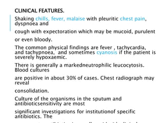 CLINICAL FEATURES.
Shaking chills, fever, malaise with pleuritic chest pain,
dyspnoea and
cough with expectoration which may be mucoid, purulent
or even bloody.
The common physical findings are fever , tachycardia,
and tachypnoea, and sometimes cyanosis if the patient is
severely hypoxaemic.
There is generally a markedneutrophilic leucocytosis.
Blood cultures
are positive in about 30% of cases. Chest radiograph may
reveal
consolidation.
Culture of the organisms in the sputum and
antibioticsensitivity are most
significant investigations for institutionof specific
antibiotics. The
 