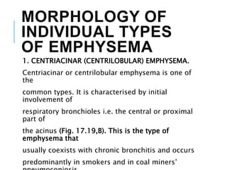 MORPHOLOGY OF
INDIVIDUAL TYPES
OF EMPHYSEMA
1. CENTRIACINAR (CENTRILOBULAR) EMPHYSEMA.
Centriacinar or centrilobular emphysema is one of
the
common types. It is characterised by initial
involvement of
respiratory bronchioles i.e. the central or proximal
part of
the acinus (Fig. 17.19,B). This is the type of
emphysema that
usually coexists with chronic bronchitis and occurs
predominantly in smokers and in coal miners’
 