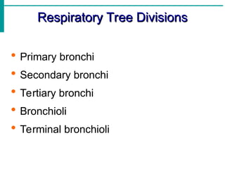 Respiratory Tree Divisions
Respiratory Tree Divisions
 Primary bronchi
 Secondary bronchi
 Tertiary bronchi
 Bronchioli
 Terminal bronchioli
 