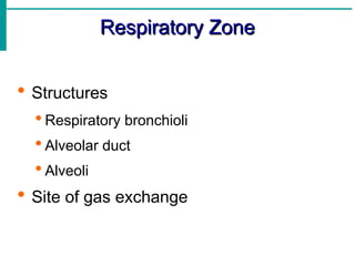 Respiratory Zone
Respiratory Zone
 Structures
 Respiratory bronchioli
 Alveolar duct
 Alveoli
 Site of gas exchange
 
