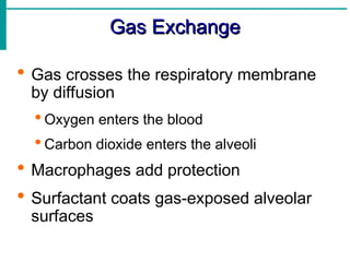 Gas Exchange
Gas Exchange
 Gas crosses the respiratory membrane
by diffusion
 Oxygen enters the blood
 Carbon dioxide enters the alveoli
 Macrophages add protection
 Surfactant coats gas-exposed alveolar
surfaces
 