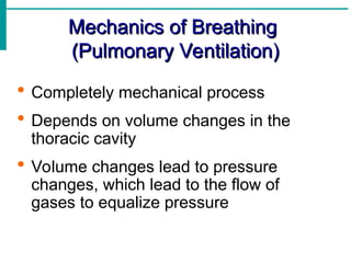 Mechanics of Breathing
Mechanics of Breathing
(Pulmonary Ventilation)
(Pulmonary Ventilation)
 Completely mechanical process
 Depends on volume changes in the
thoracic cavity
 Volume changes lead to pressure
changes, which lead to the flow of
gases to equalize pressure
 