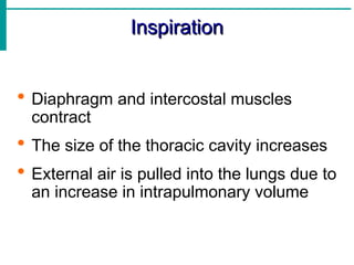 Inspiration
Inspiration
 Diaphragm and intercostal muscles
contract
 The size of the thoracic cavity increases
 External air is pulled into the lungs due to
an increase in intrapulmonary volume
 