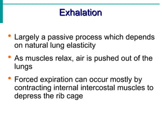 Exhalation
Exhalation
 Largely a passive process which depends
on natural lung elasticity
 As muscles relax, air is pushed out of the
lungs
 Forced expiration can occur mostly by
contracting internal intercostal muscles to
depress the rib cage
 