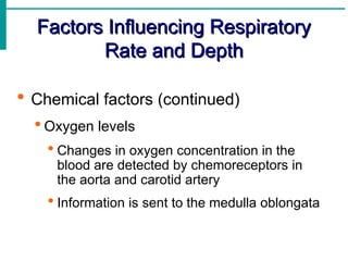 Factors Influencing Respiratory
Factors Influencing Respiratory
Rate and Depth
Rate and Depth
 Chemical factors (continued)
 Oxygen levels
 Changes in oxygen concentration in the
blood are detected by chemoreceptors in
the aorta and carotid artery
 Information is sent to the medulla oblongata
 