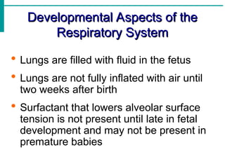Developmental Aspects of the
Developmental Aspects of the
Respiratory System
Respiratory System
 Lungs are filled with fluid in the fetus
 Lungs are not fully inflated with air until
two weeks after birth
 Surfactant that lowers alveolar surface
tension is not present until late in fetal
development and may not be present in
premature babies
 