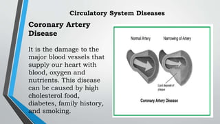 Coronary Artery
Disease
It is the damage to the
major blood vessels that
supply our heart with
blood, oxygen and
nutrients. This disease
can be caused by high
cholesterol food,
diabetes, family history,
and smoking.
Circulatory System Diseases
 