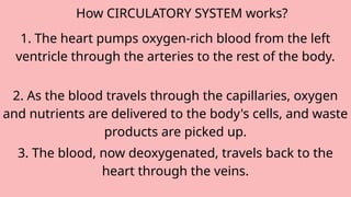 1. The heart pumps oxygen-rich blood from the left
ventricle through the arteries to the rest of the body.
2. As the blood travels through the capillaries, oxygen
and nutrients are delivered to the body's cells, and waste
products are picked up.
How CIRCULATORY SYSTEM works?
3. The blood, now deoxygenated, travels back to the
heart through the veins.
 