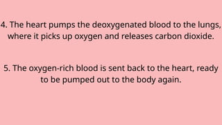 4. The heart pumps the deoxygenated blood to the lungs,
where it picks up oxygen and releases carbon dioxide.
5. The oxygen-rich blood is sent back to the heart, ready
to be pumped out to the body again.
 