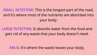 SMALL INTESTINE: This is the longest part of the road,
and it's where most of the nutrients are absorbed into
your body.
LARGE INTESTINE: It absorbs water from the food and
gets rid of any waste that your body doesn't need.
ANUS: It's where the waste leaves your body.
 
