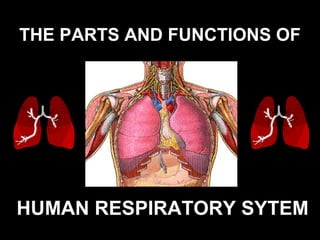 THE PARTS AND FUNCTIONS OF
HUMAN RESPIRATORY SYTEM
 