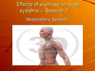 Effects of exercise on body systems – Session 2 Respiratory System 