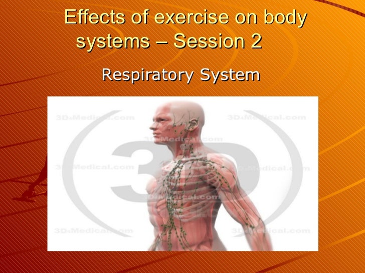 for why respiratory your exercise good is system exercise of Respiratory effects for why respiratory your exercise good is system exercise of Respiratory effects