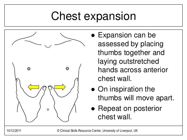 Respiratory Exam respiratory-exam