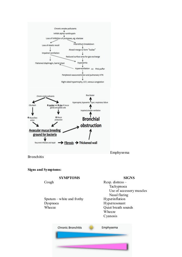 Respiratory Notes