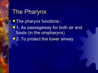 The Pharynx The pharynx functions : 1. As passageway for both air and foods (in the oropharynx) 2. To protect the lower airway 