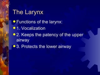 The Larynx Functions of the larynx: 1. Vocalization 2. Keeps the patency of the upper airway 3. Protects the lower airway 