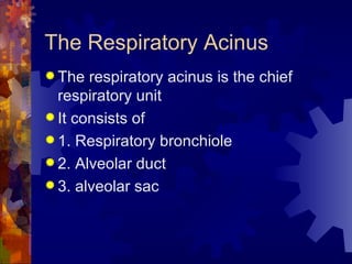 The Respiratory Acinus The respiratory acinus is the chief respiratory unit It consists of  1. Respiratory bronchiole 2. Alveolar duct 3. alveolar sac 