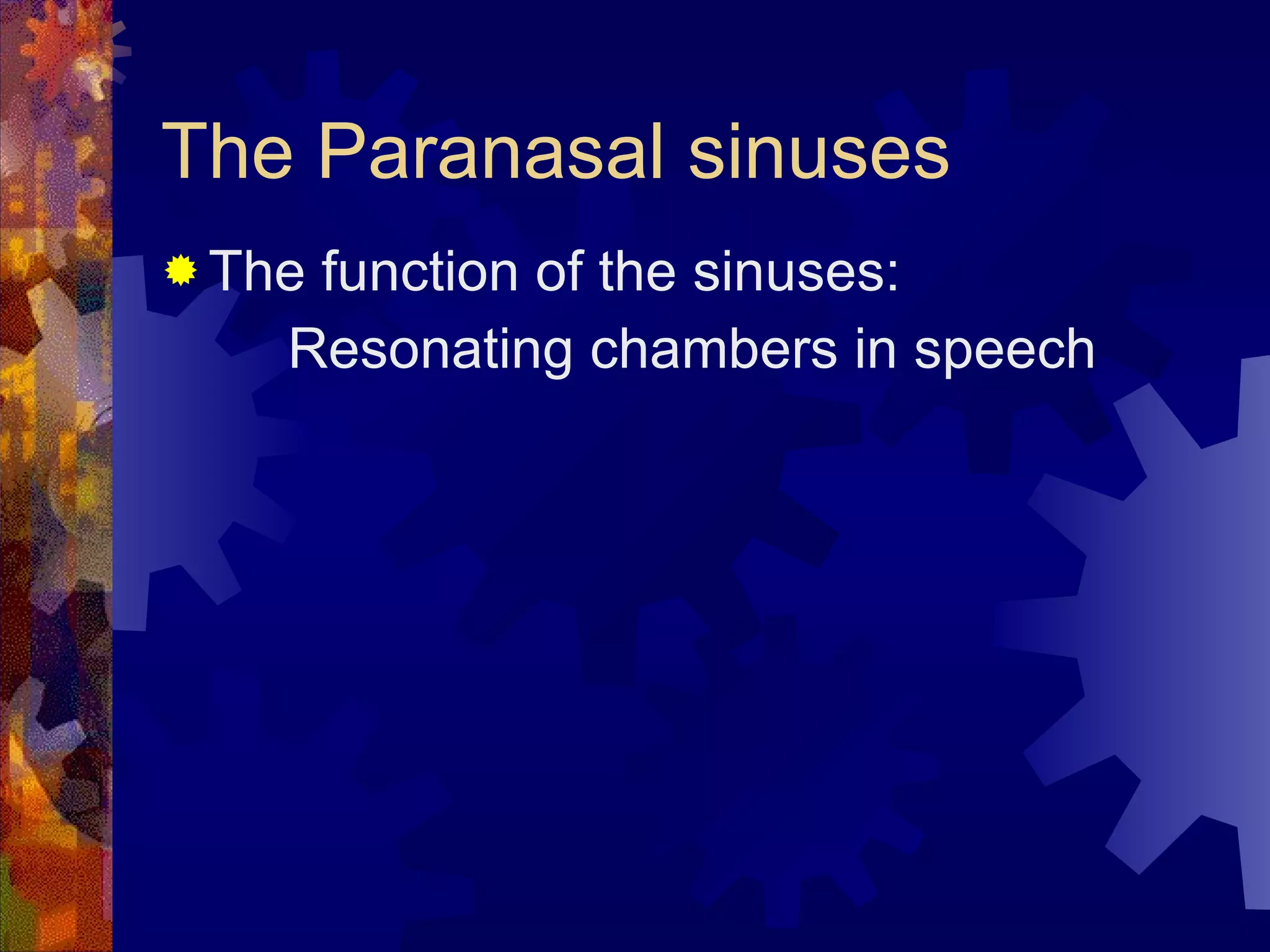 The Paranasal sinuses The function of the sinuses: Resonating chambers in speech 