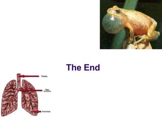 The End 