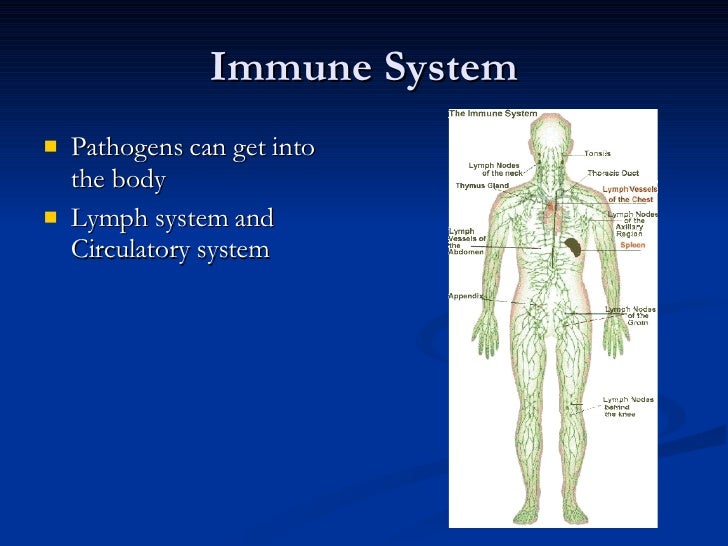 Copd With Bronchitis Or Emphysema - Perokok h