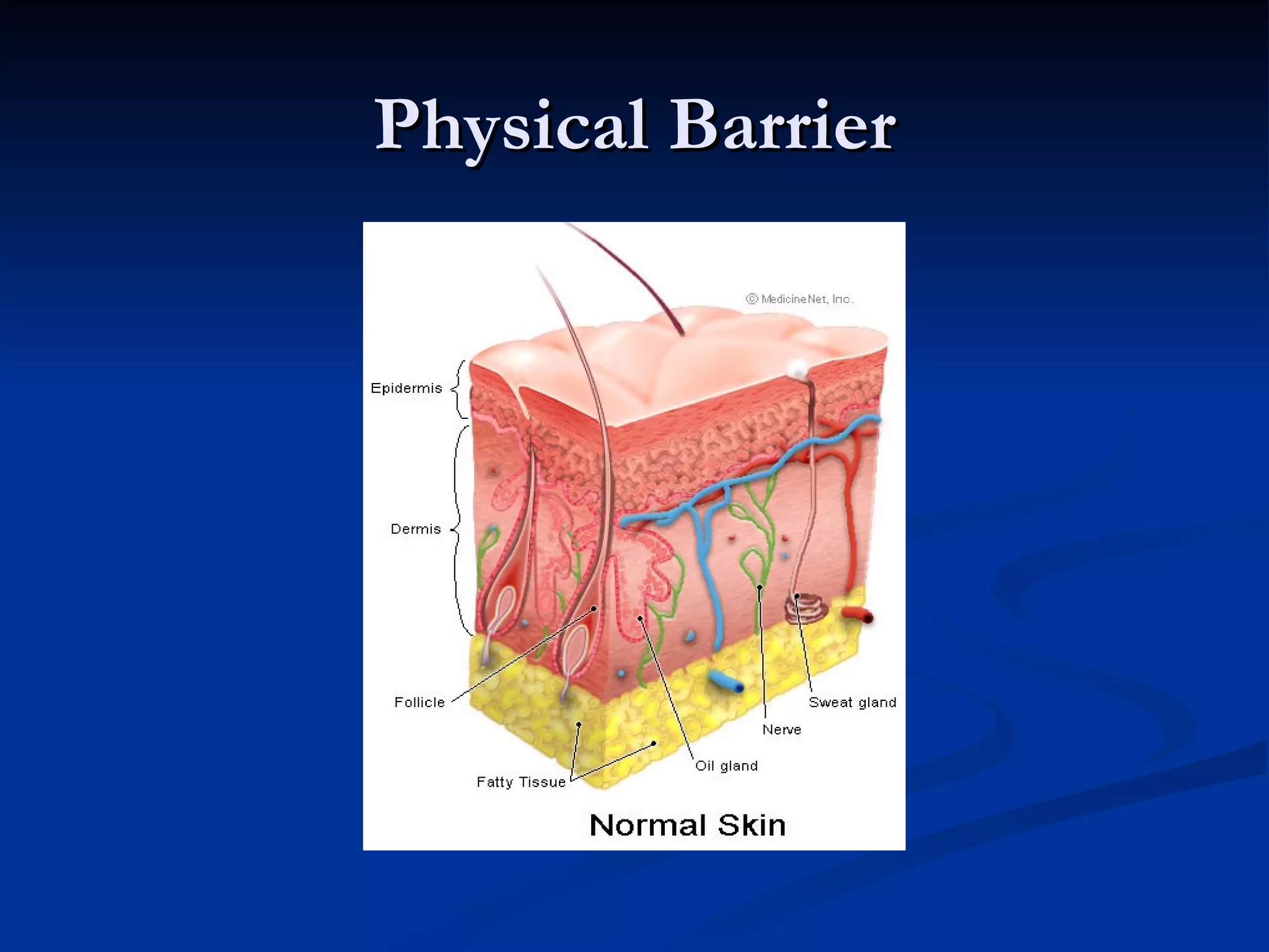 Physical Barrier 