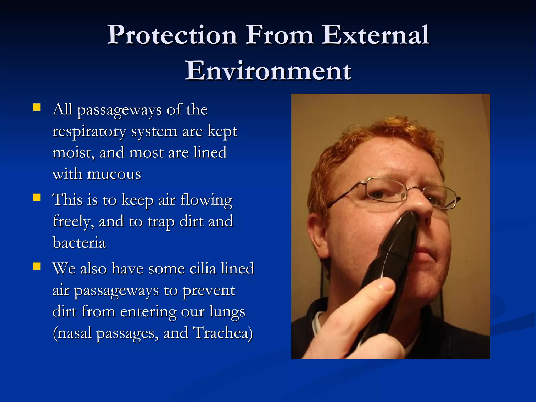 Protection From External Environment All passageways of the respiratory system are kept moist, and most are lined with mucous This is to keep air flowing freely, and to trap dirt and bacteria We also have some cilia lined air passageways to prevent dirt from entering our lungs (nasal passages, and Trachea) 