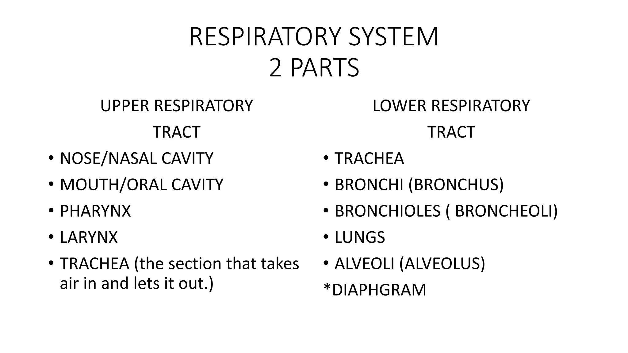 RESPIRATORY SYSTEM
2 PARTS
UPPER RESPIRATORY
TRACT
• NOSE/NASAL CAVITY
• MOUTH/ORAL CAVITY
• PHARYNX
• LARYNX
• TRACHEA (the section that takes
air in and lets it out.)
LOWER RESPIRATORY
TRACT
• TRACHEA
• BRONCHI (BRONCHUS)
• BRONCHIOLES ( BRONCHEOLI)
• LUNGS
• ALVEOLI (ALVEOLUS)
*DIAPHGRAM
 
