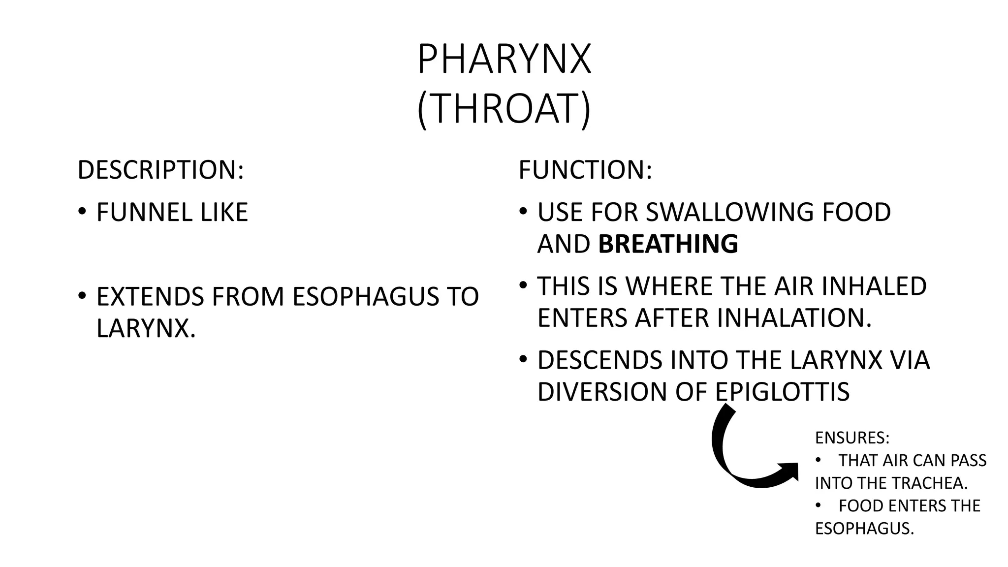 PHARYNX
(THROAT)
DESCRIPTION:
• FUNNEL LIKE
• EXTENDS FROM ESOPHAGUS TO
LARYNX.
FUNCTION:
• USE FOR SWALLOWING FOOD
AND BREATHING
• THIS IS WHERE THE AIR INHALED
ENTERS AFTER INHALATION.
• DESCENDS INTO THE LARYNX VIA
DIVERSION OF EPIGLOTTIS
ENSURES:
• THAT AIR CAN PASS
INTO THE TRACHEA.
• FOOD ENTERS THE
ESOPHAGUS.
 