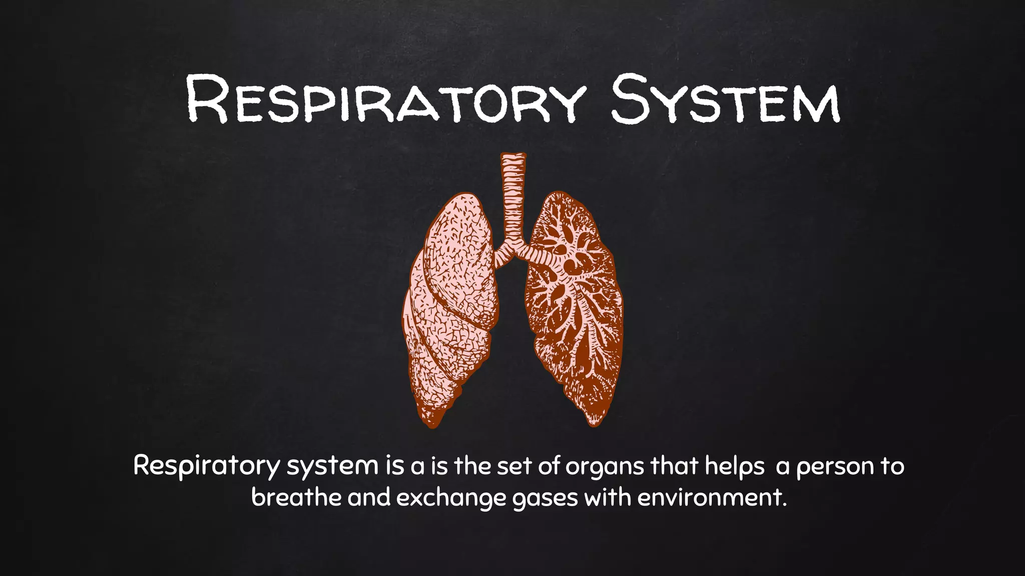 Respiratory System
Respiratory system is a is the set of organs that helps a person to
breathe and exchange gases with environment.