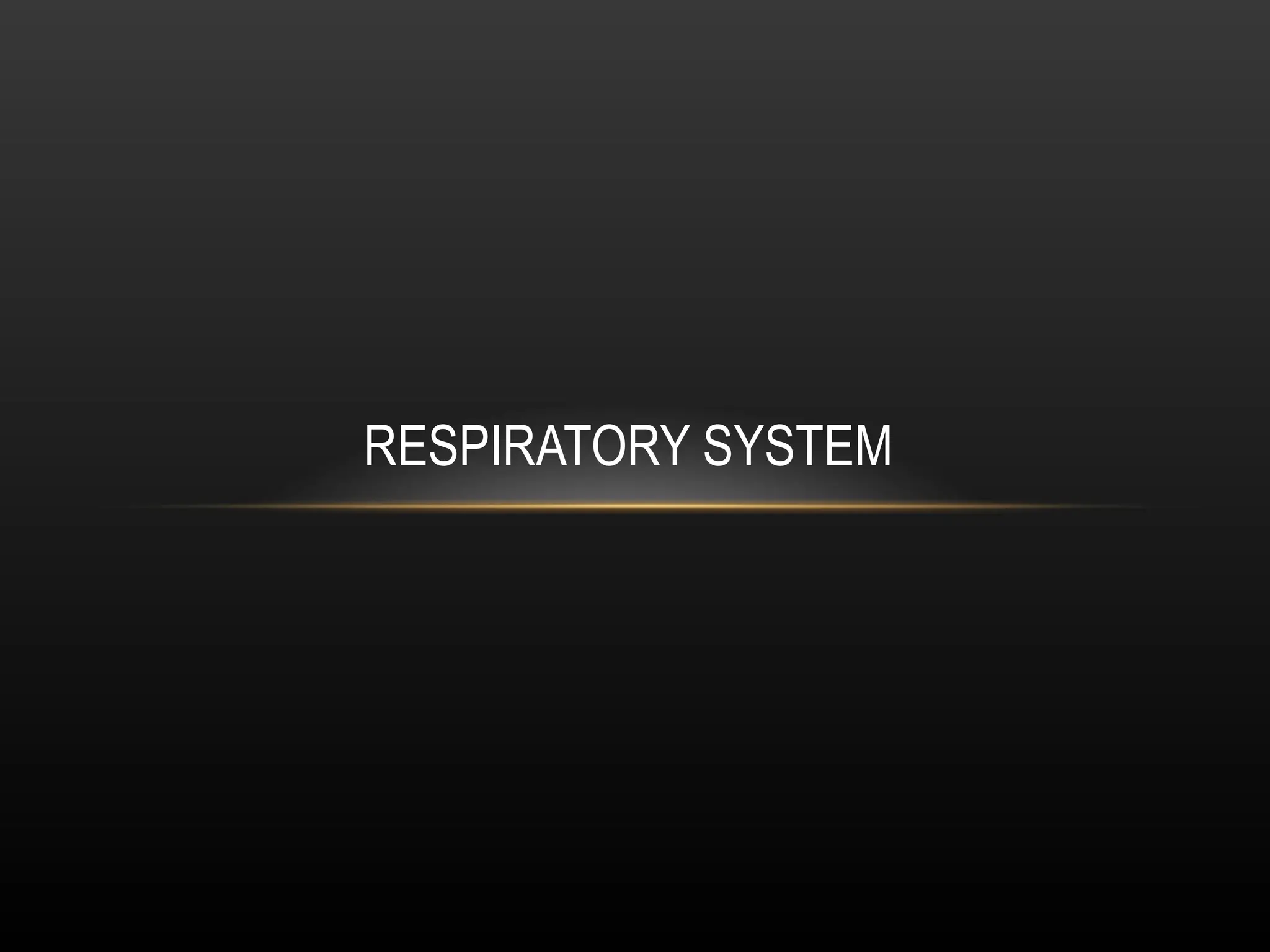 Respiratory system visual data 3
