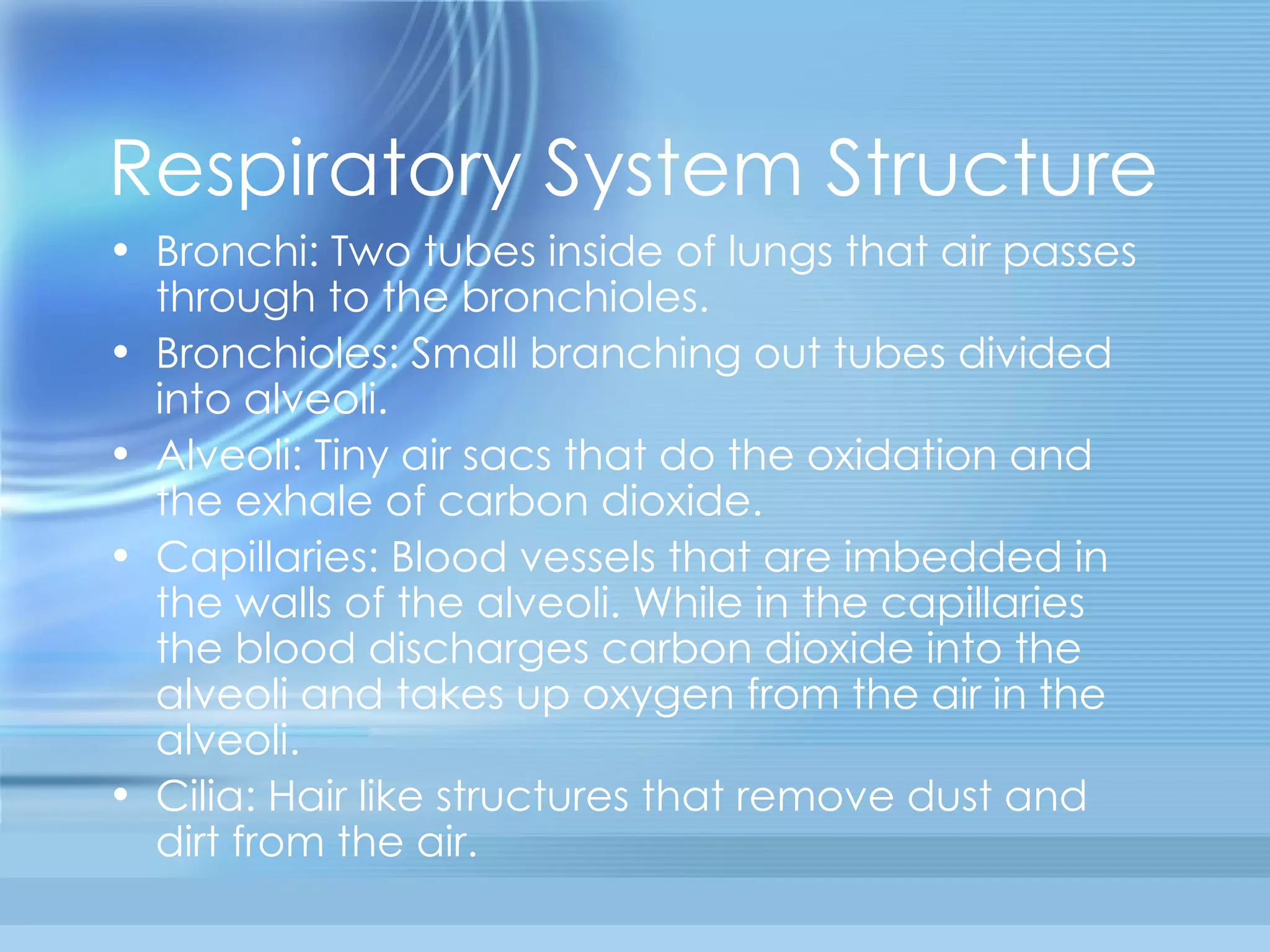 Respiratory System Structure Bronchi: Two tubes inside of lungs that air passes through to the bronchioles. Bronchioles: Small branching out tubes divided into alveoli.  Alveoli: Tiny air sacs that do the oxidation and the exhale of carbon dioxide. Capillaries: Blood vessels that are imbedded in the walls of the alveoli. While in the capillaries the blood discharges carbon dioxide into the alveoli and takes up oxygen from the air in the alveoli. Cilia: Hair like structures that remove dust and dirt from the air. 